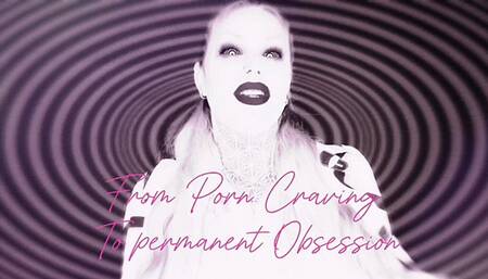 Stage 1: From Porn Craving to Permanent Obsession mov
