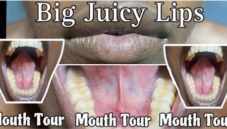 Rowanie’s Mouth Tour Big Wide Open With Her Huge Lips and Big Teeth watch Her play with Her Tongue licking Around Her Mouth HD MP4