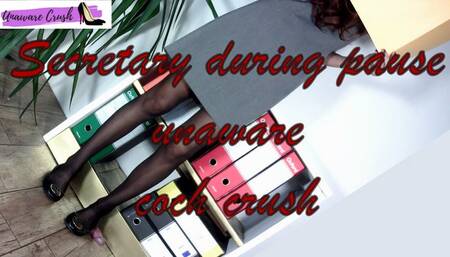 Secretary unaware cock crush during a break at work