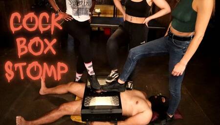 Cock Box Carnage - Trample Torment by Ebony Goddess Nyx, Missy Jane and Mistress Scarlett Morgan
