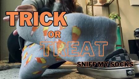 Trick or Treat Sniff My Socks