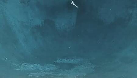 Underwater Skeleton Dance with Raven Lynette