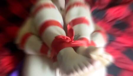 I Look Pretty When I'm All Tied up and Desperate to Cum Don't You Think so?