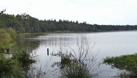 Outdoor Dick Sucking