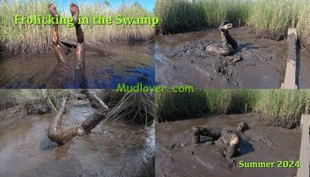Frolicking in the Swamp, Summer 2024