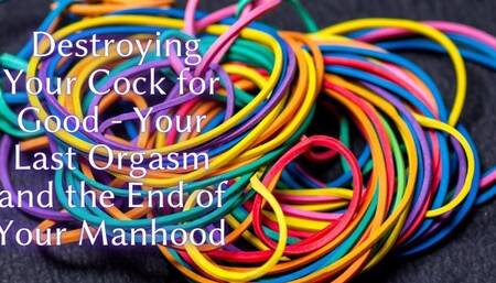 The NLP toolbox: Destroying Your Cock for Good - Your Last Orgasm and the End of Your Manhood