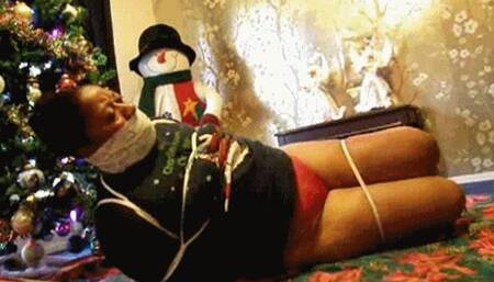 Hogtie Wonderland
