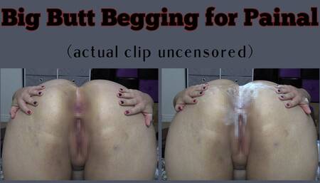 Big Butt Begging for Painal