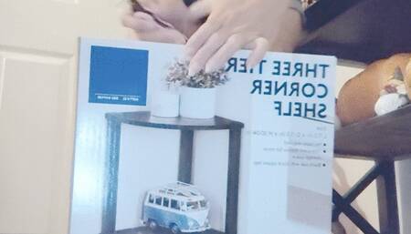 Tempest is putting shelves togther