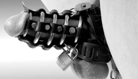 Permanent Chastity JOI Challenge -Cum Penalty 20 min