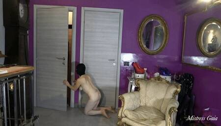 MISTRESS GAIA - AFTER GYM WORSHIP - HD