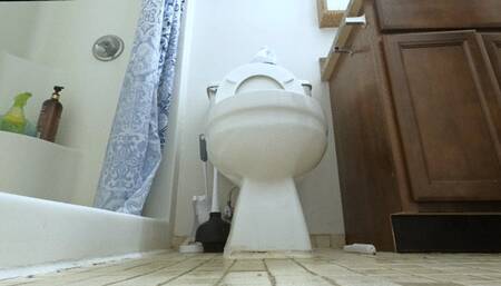 Giantess - You are but a Speck, a mere blip in a Giantess World POV, toilet fetish, Shrinking fetish 4k