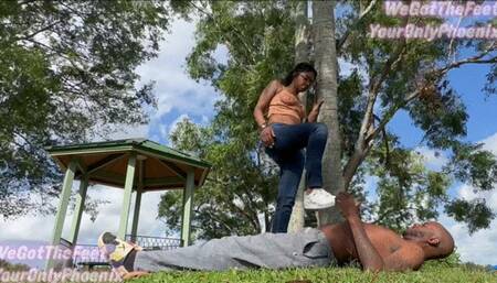 STOMPED TO THE GROUND VOL 16 FV