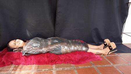 Tickling a lady's feet (3)