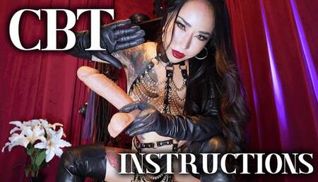 CBT Instruction JOI