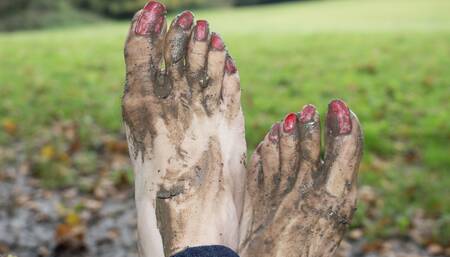 Pig Out in the Mud