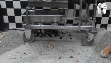 The Lion slumber for ever 2