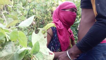 The Labourer Boy and Girl Working in the Field Went to the Jungle