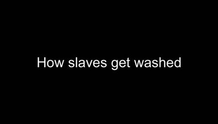 Gay humiliation - how slaves get washed