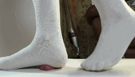 A cock under the feet in socks