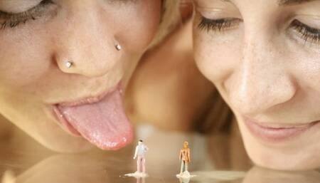 Trespassing Tinies in the Giantess Fairy Garden