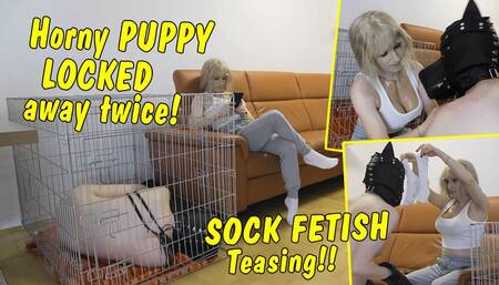 Puppy in heat has to be locked away twice! Role Play by Tranny Dom! Sock Fetish Teasing! FULL CLIP
