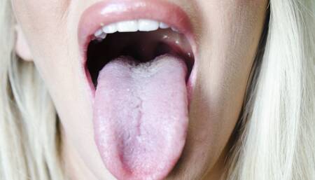 A Housewarming Gift - Danielle Maye HQE