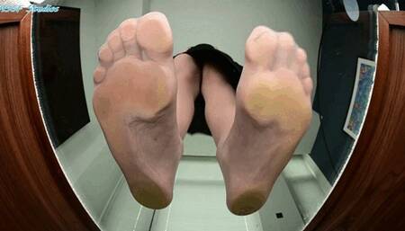 Your GIANTESS Secretary Natasha confuses you for an ant! UNAWARE CRUSH! - MP4