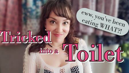 Tricked into a Toilet