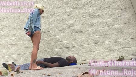 YOUR LOWER THAN DIRT VOL 15 FV