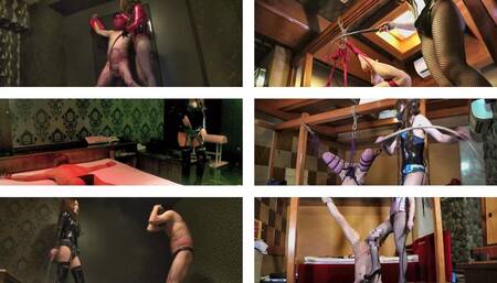 Whip Training 6 Scene Collaboration