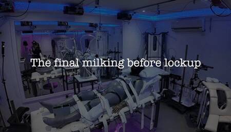 Final Milking