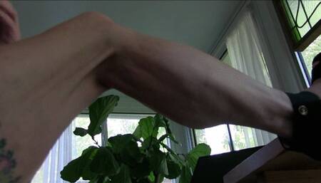 Pink Fox, calves up, best calf flexing