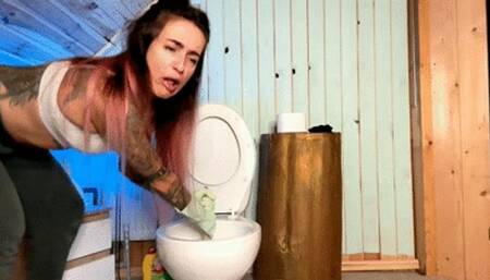 Cleaning & Dirtying the toilet! wmv