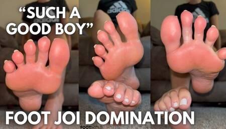 Good Boy JOI Domination - Ivys Feet - Footivities
