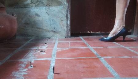 Angelin trampling and dominating these tiny men (1)