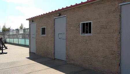 Pony Play Slavena Alexandra