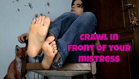crawl at my feet and I'm talking about ballbusting punishment