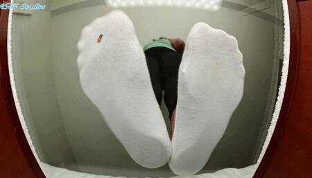 6ft Queen unaware of tiny man trapped UNDER SOCKED FEET! - MOV