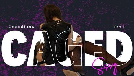 Sissy Part 2 Sounding