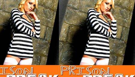 Prison Break Volume 1
