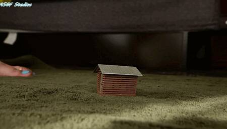 6ft Queen barefoot GIANTESS CRUSH! - MP4