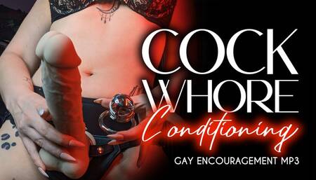 Cock Whore Conditioning - Gay Encouragement MP3