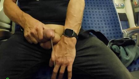 I Masturbated Very Spontaneously on the Moving Train and Didn't Have Much Time to Cum, but I Just Managed It.