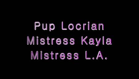 Breeders territory compilation