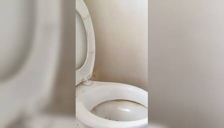 Nasty Toilet Sissy