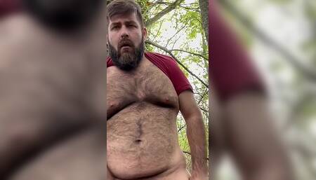 Looking for an Ass in the Forest