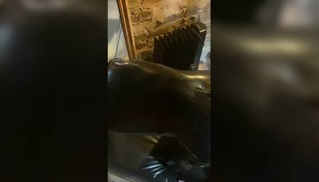 Catsuited Latex Cock Toy