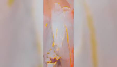 Ass and Masturbation Until Milk Is Drawn
