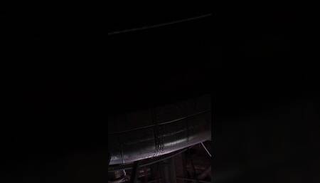 Resident Evil - Carnal Submission by Misthios Arc (animation with Sound) 3D Hentai Porn Sfm